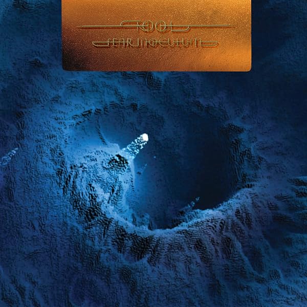 Amazon.com: Fear Inoculum (Limited Edition Vinyl): CDs & Vinyl